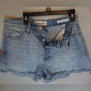 ARITZIA DENIM FORUM EX BOYFRIEND HI RISE DENIM SHORT